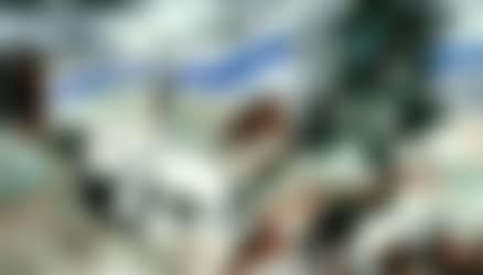 Untitled (preview)