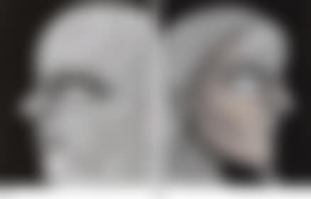 Face of a Man II b) Lady II (preview)