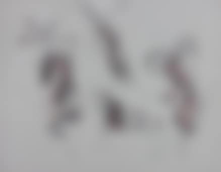 Untitled (preview)