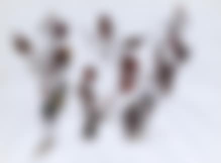 Untitled (preview)