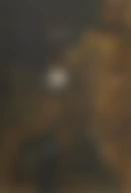 Untitled (preview)