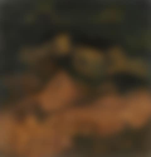 Untitled (preview)