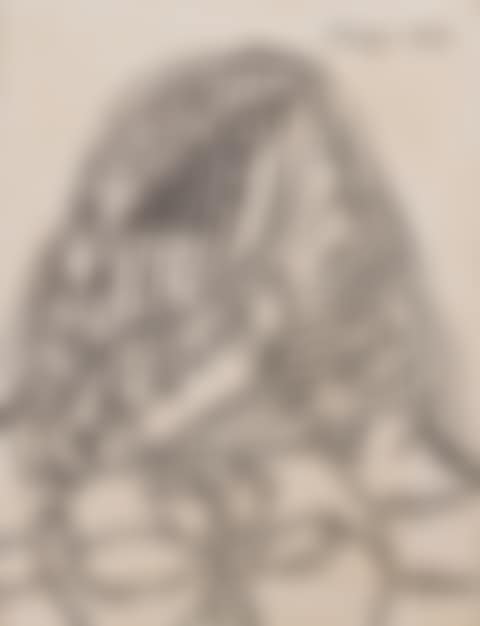 Untitled (preview)
