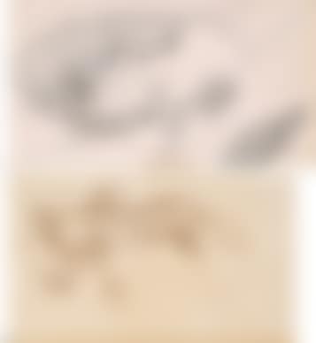 The Face & Other Stories (preview)