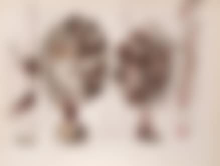Untitled (preview)