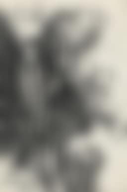 Untitled (Grasshopper in Foliage) (preview)