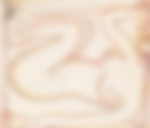 Woman (Inside Her Quilt) (preview)