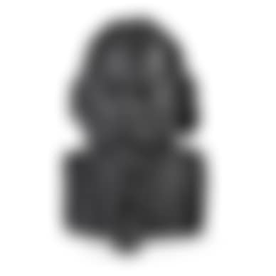 Rabindranath Tagore (preview)