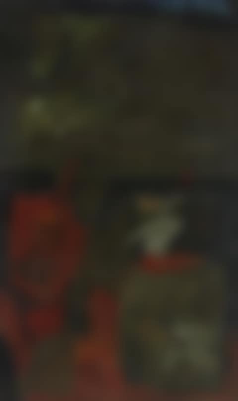 Untitled (preview)