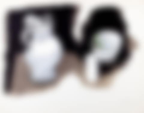 Still life (preview)