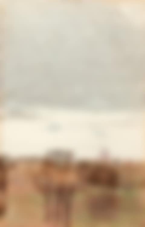 Villa Borghese from the balcony with the Dome (preview)