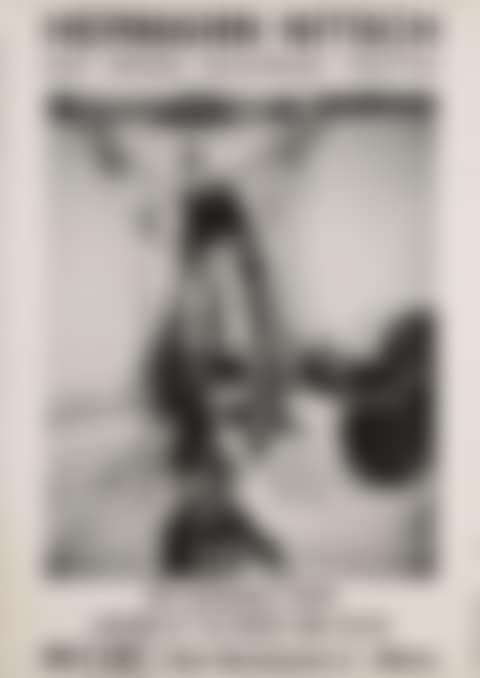 Lot of catalogue and poster of Das Orgien Mysterien Theater performance (preview)