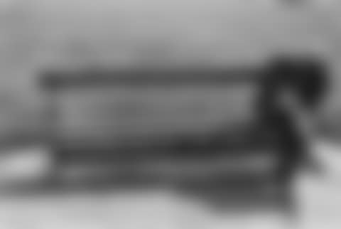 Paris, Jardin des Tuileries (preview)
