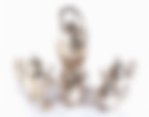 Silver service (preview)