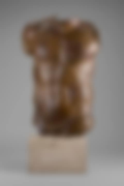 Perseus (preview)