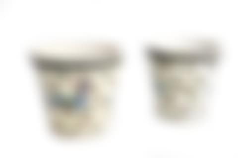 Pair of polychrome ceramic vases with zoomorphic elements (preview)