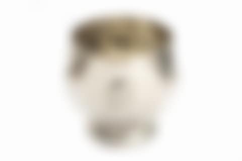 Silver vase (preview)
