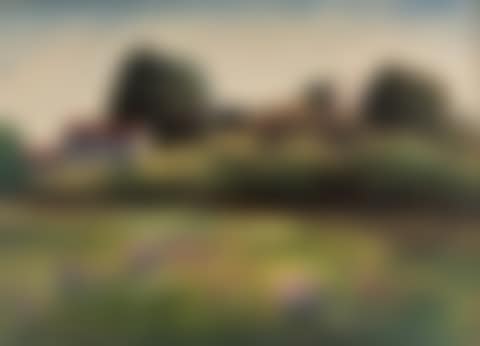 Paesaggio (preview)