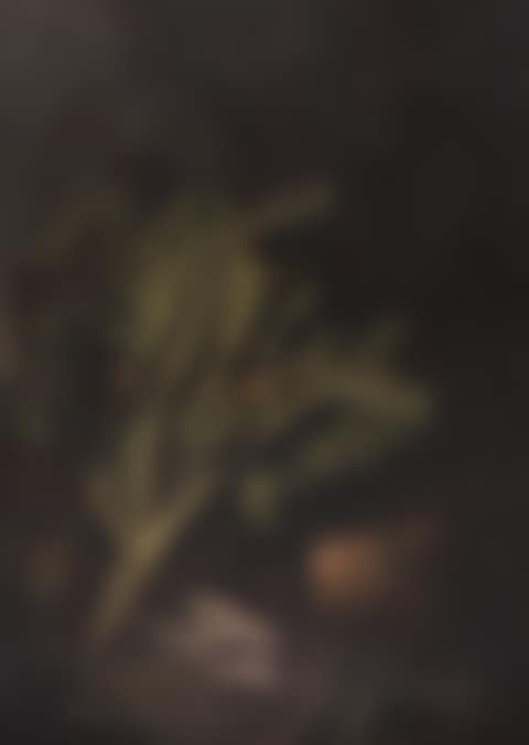 Still life with vegetables and copper basin, en plein air (preview)