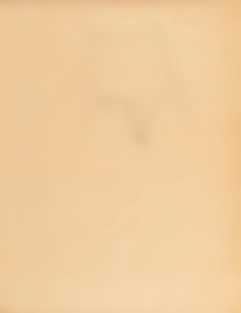 Studio per parete spaziale (preview)