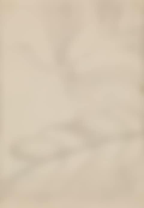 Disegno (preview)