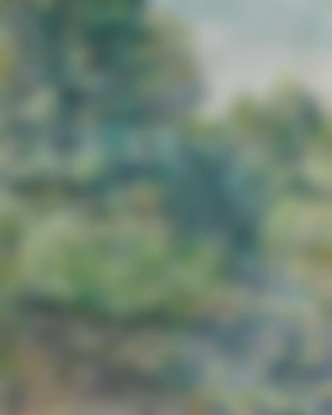 Le Jardin de Monet a Giverny (preview)