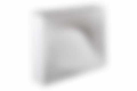 White oval (preview)