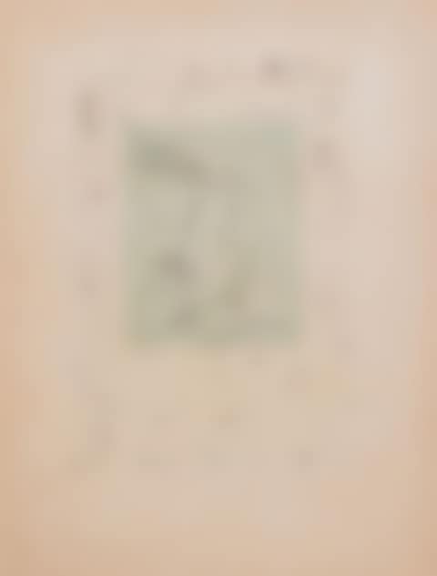 Oiseau (preview)