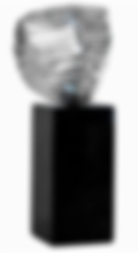 Veiled Face (preview)