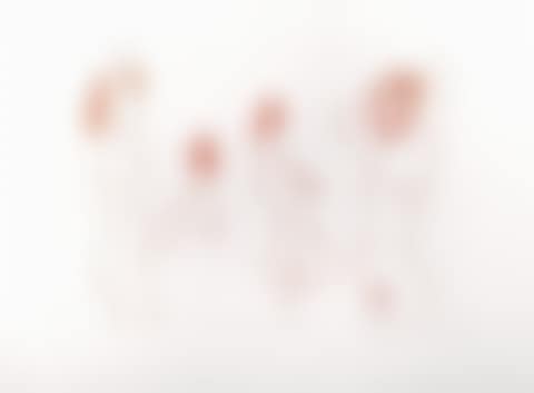 The wigs (preview)