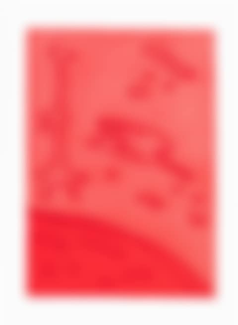 Red composition (preview)