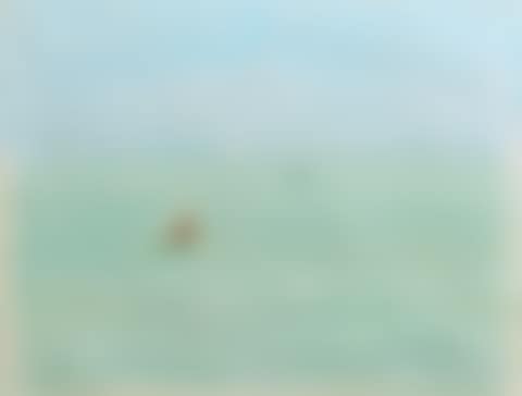 Green and turquoise seascape with fishing boats (preview)