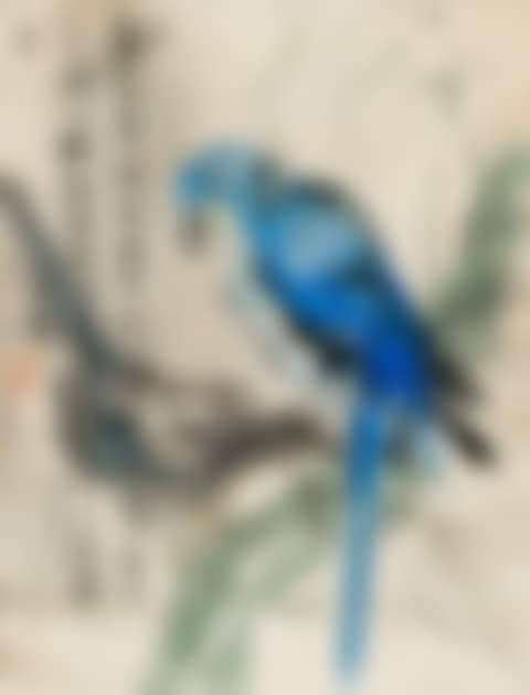 Parrot (preview)