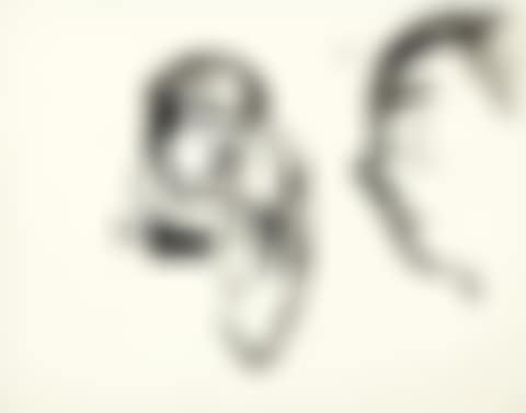Studies of heads (preview)