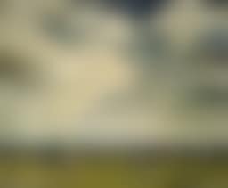 LANDSCAPE WITH COWS IN KNOKKE (preview)