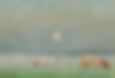 Fog and moonlight upon the fields (preview)