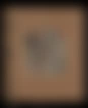 GEEL ZAAD OF TIJDSZOOM (preview)