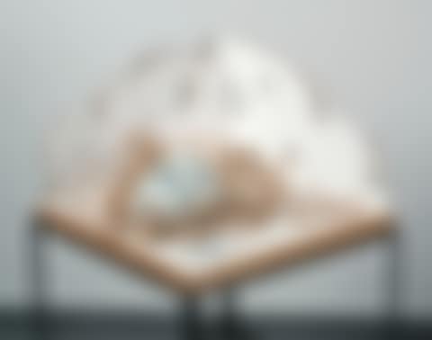Bic print (plaster head with bic fingerprints) (preview)