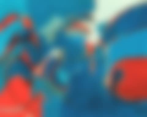 Mouvements rotatifs (preview)