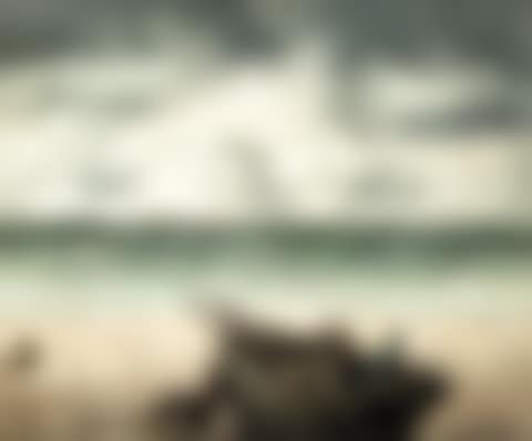 Seascape (preview)