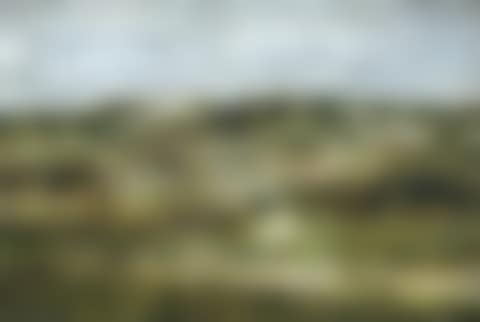 Dunes (1880) (preview)
