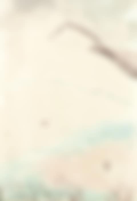 Rabbits in the dunes (preview)