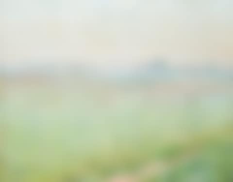 Landscape in May (1911) (preview)