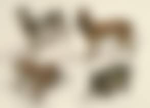WIENER BRONZES; 3 HONDEN - 1 NEUSHOORN Lot of 4 sculptures (preview)