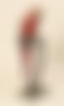 PARROT (preview)