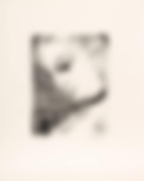 Anne de profil (preview)