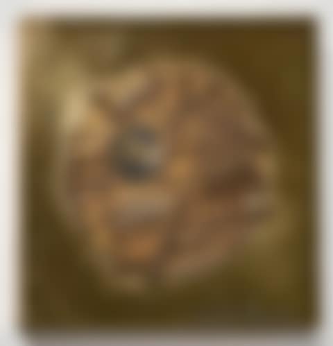 Disco (preview)