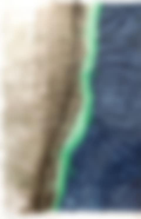 Metamorfose: Sluipende Bidsprinkhaan (Metamorphosis : Creeping Praying Mantis) (preview)