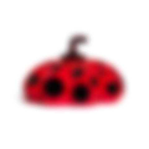 Naoshima Red Pumpkin (preview)