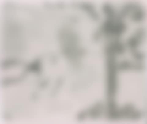 Fish, Frog & Pelican (preview)